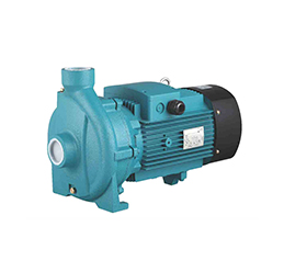 Swimming pool pump